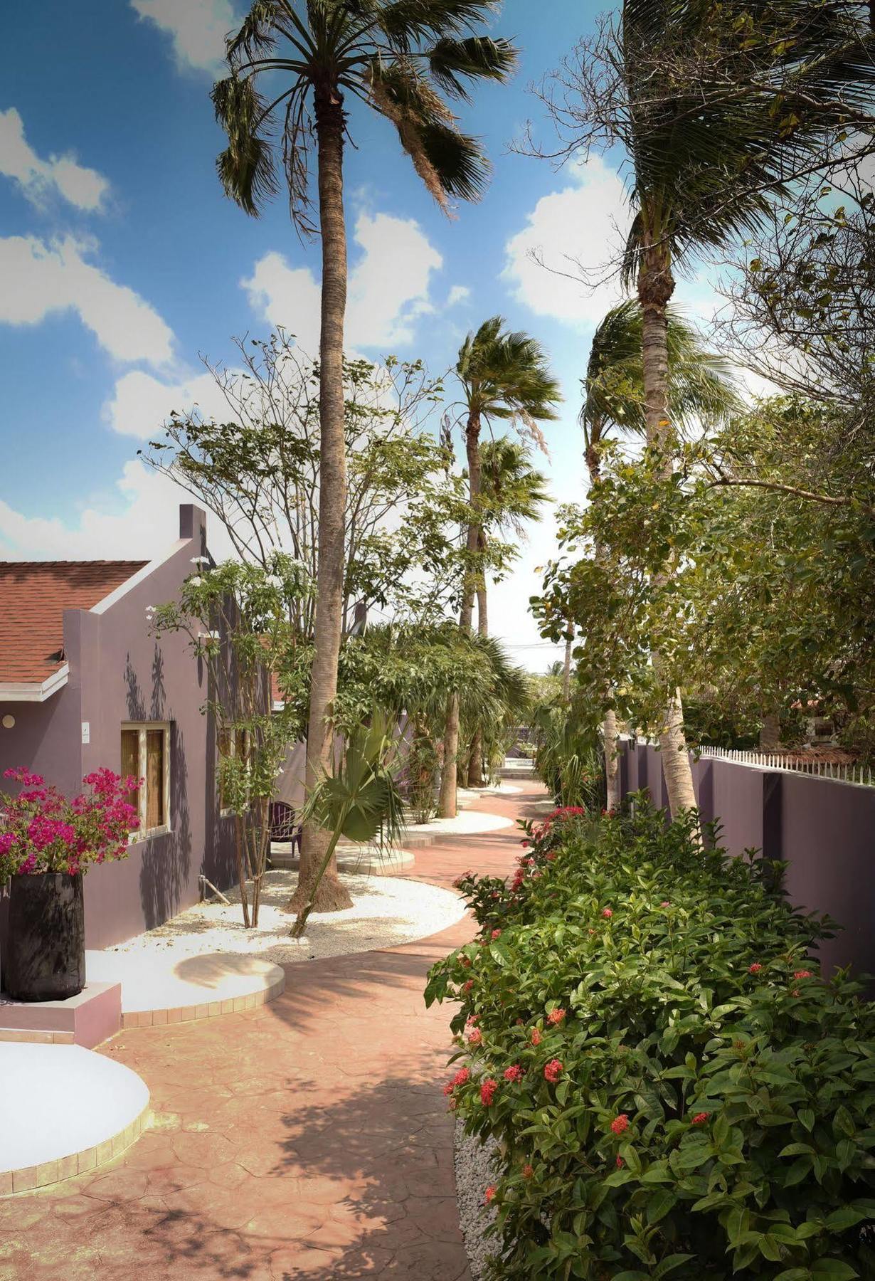 Cadushi Apartments Oranjestad Exteriér fotografie