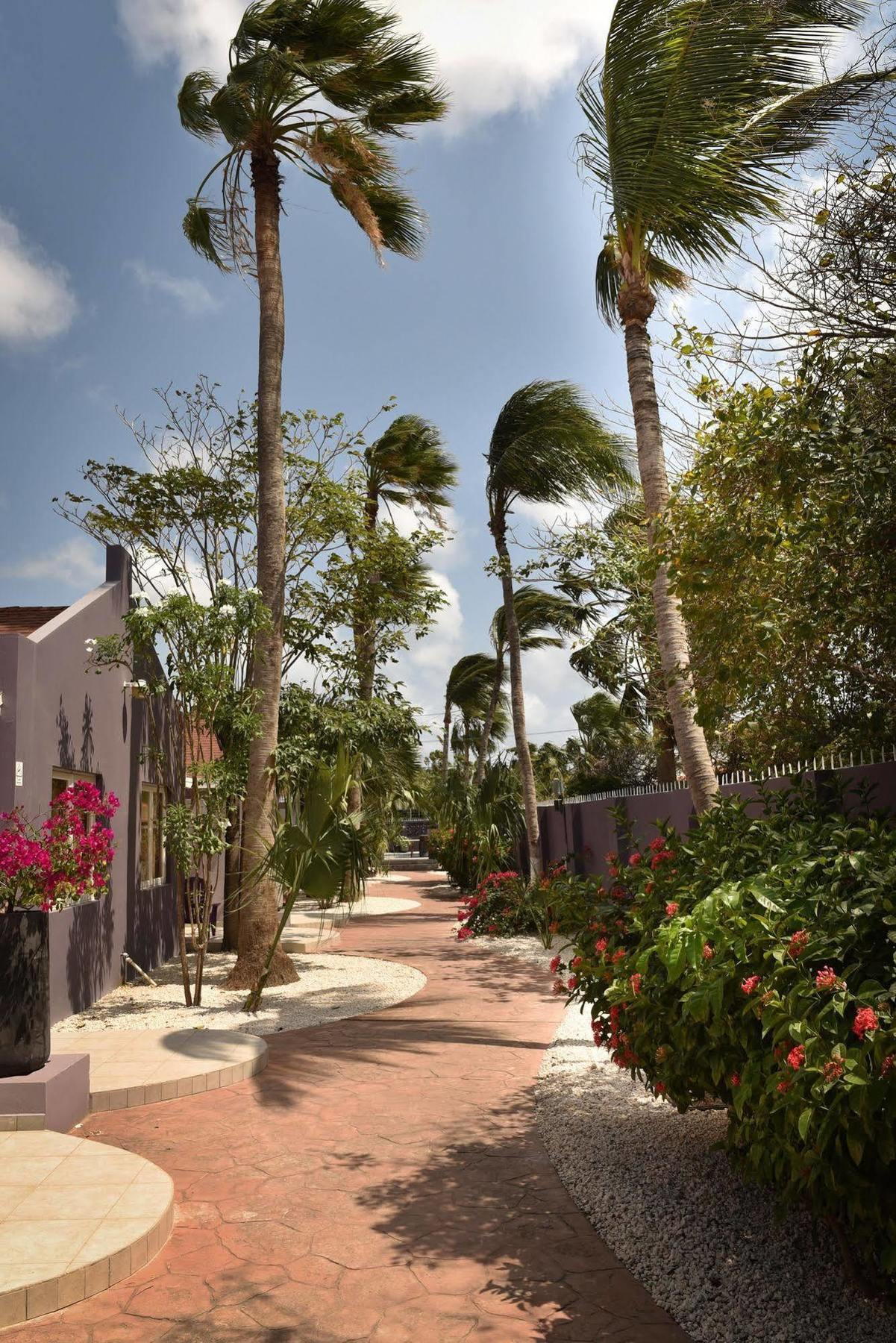 Cadushi Apartments Oranjestad Exteriér fotografie