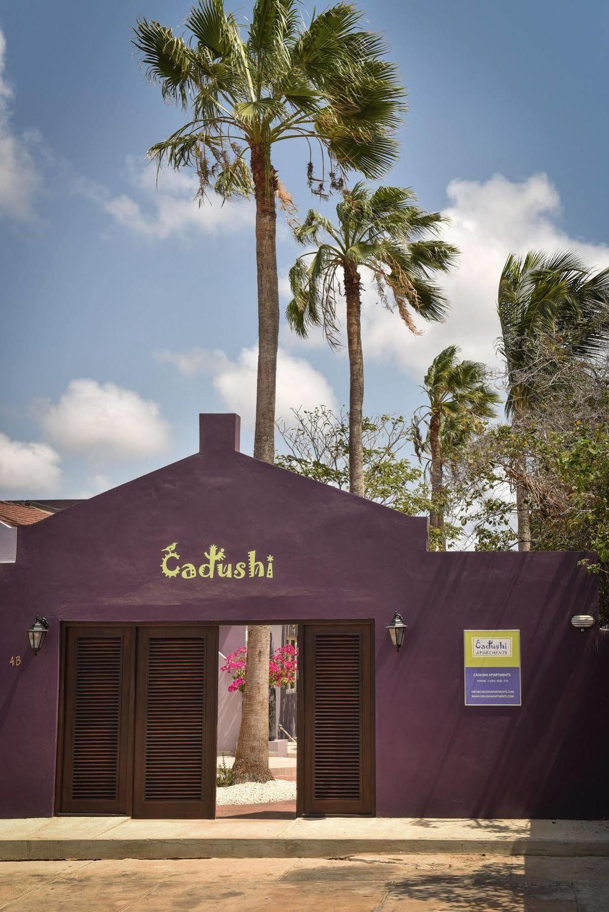 Cadushi Apartments Oranjestad Exteriér fotografie