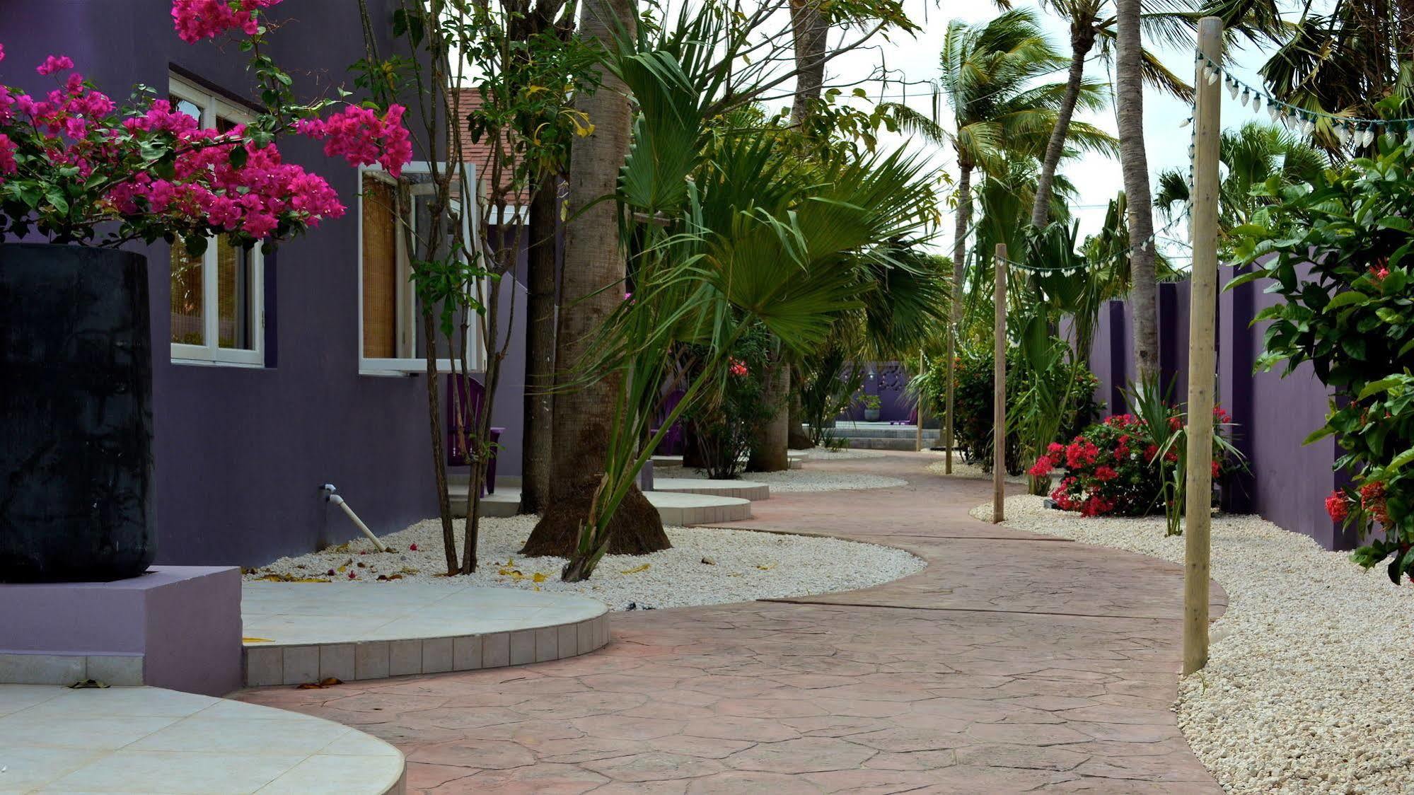 Cadushi Apartments Oranjestad Exteriér fotografie